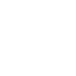 Digital Popular Brand Award 2024